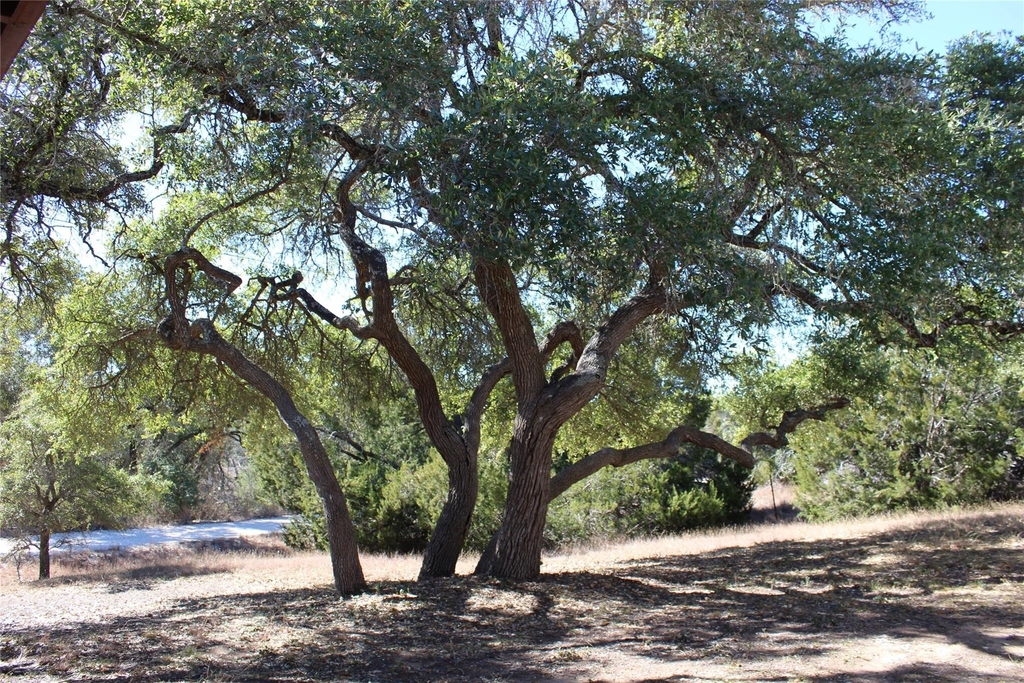 14111 S Green Hills Loop - Photo 11