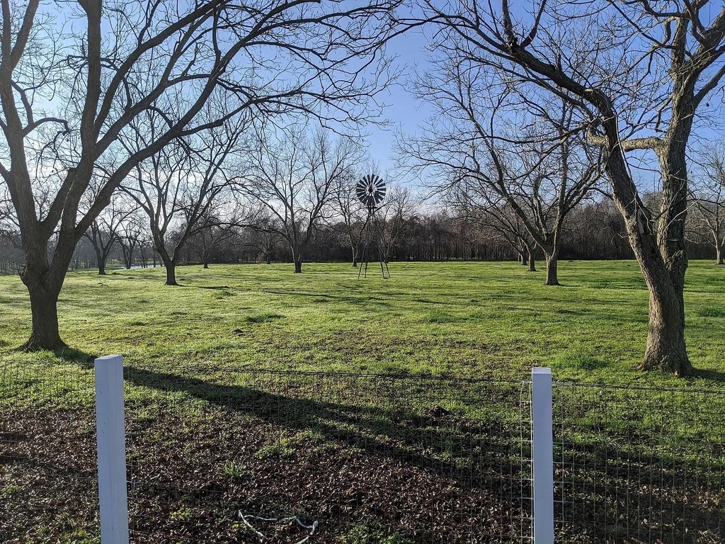 4309 Bowser Road - Photo 1