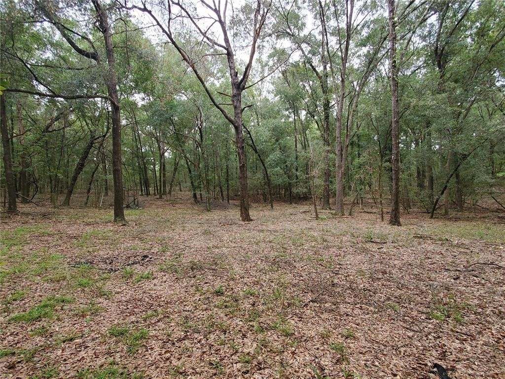 4919 Ne 18 Trail - Photo 13