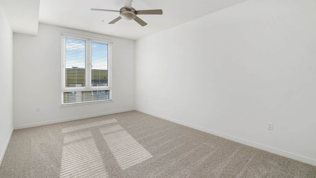 1333 Powell Street - Photo 19