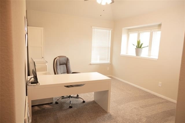 4147 Lagoon Place - Photo 17