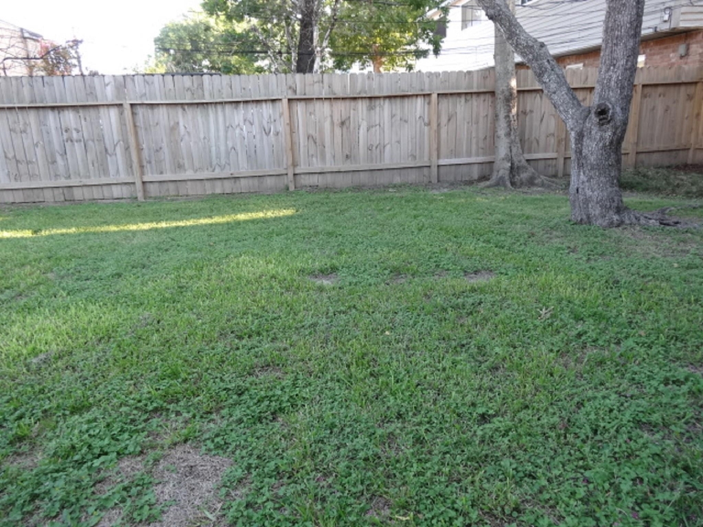 5522 Deep Forest Drive - Photo 37
