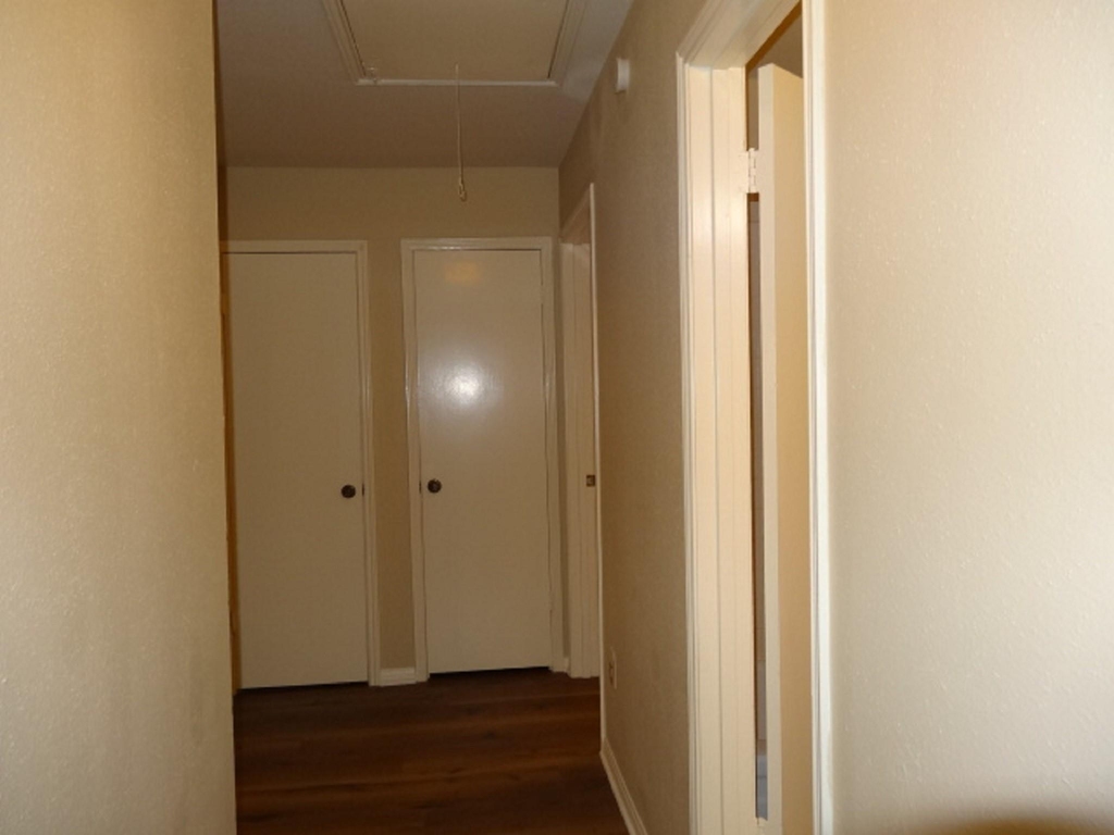 5522 Deep Forest Drive - Photo 18