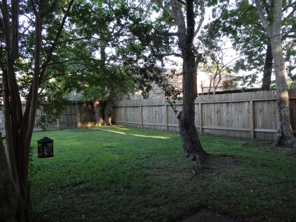 5522 Deep Forest Drive - Photo 38