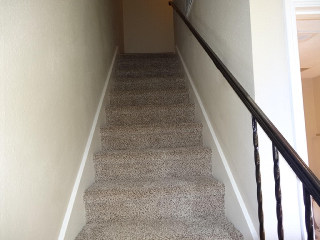 5522 Deep Forest Drive - Photo 17