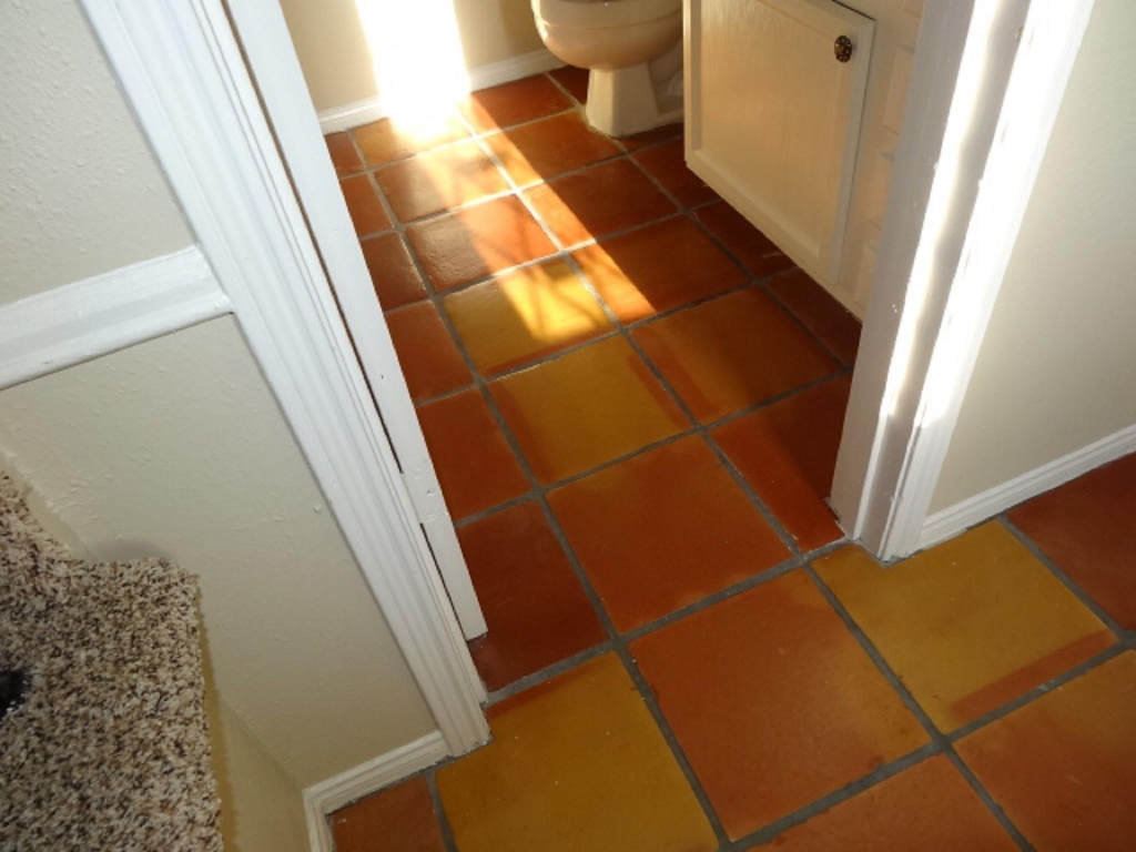 5522 Deep Forest Drive - Photo 13