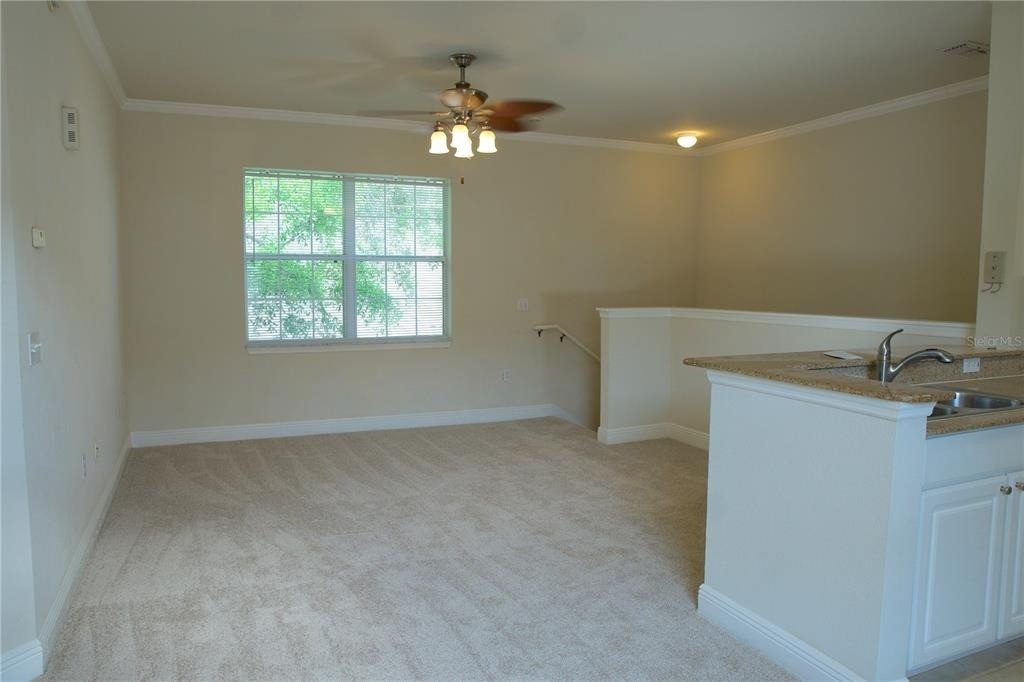 233 Southern Pecan Circle - Photo 11