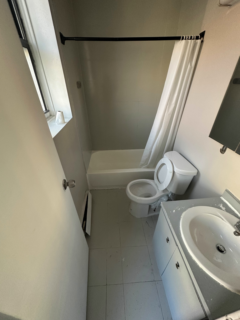 370 West 52nd Street - Photo 8