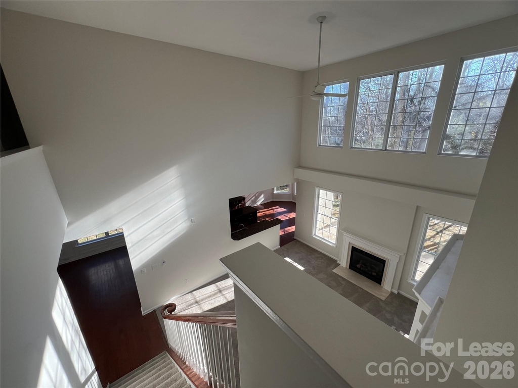 5002 Fine Robe Drive - Photo 12