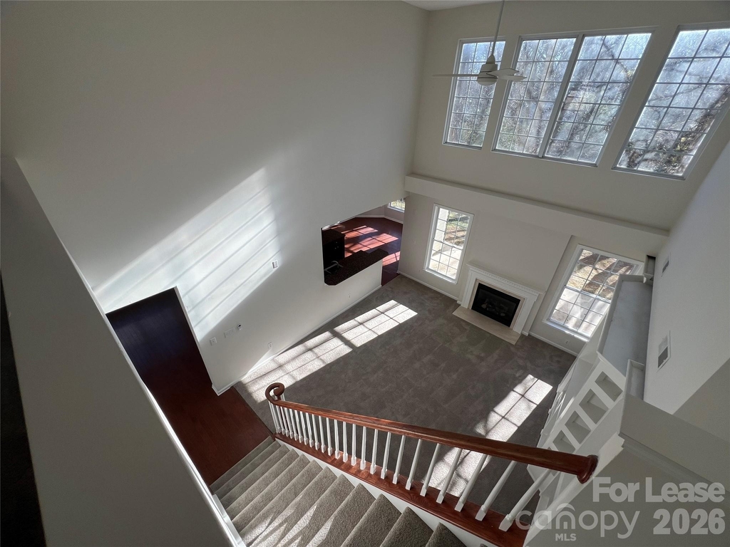 5002 Fine Robe Drive - Photo 14