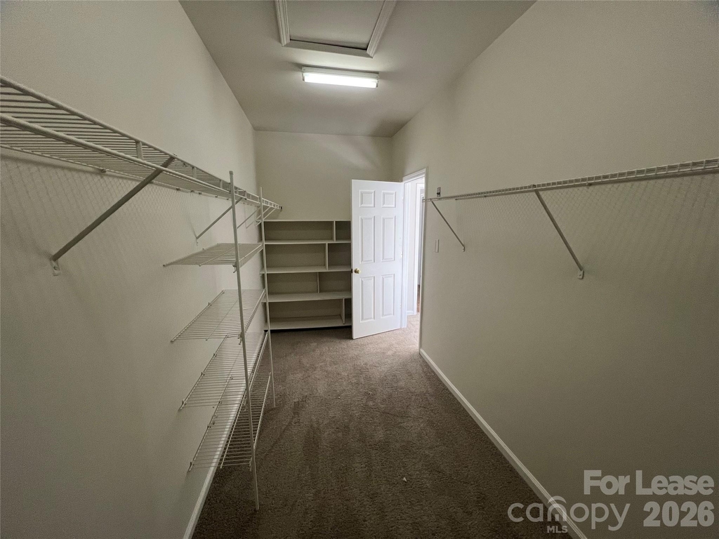 5002 Fine Robe Drive - Photo 19