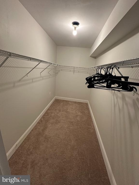 13613 Hollow Log Drive - Photo 10