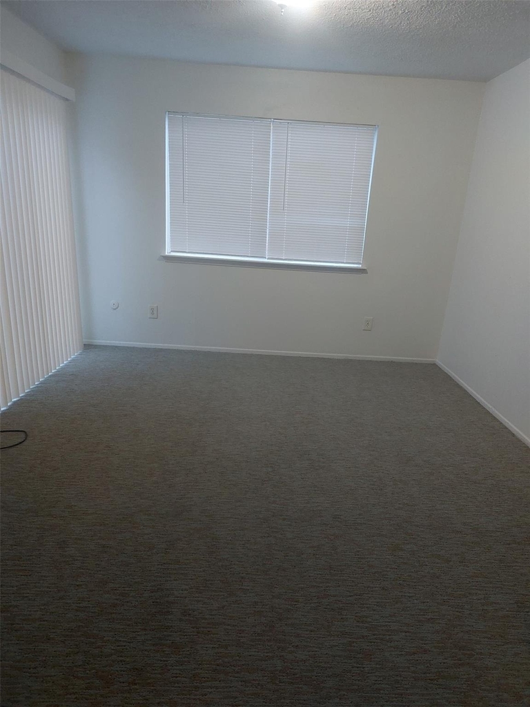 8151 Misty Ridge Lane - Photo 11