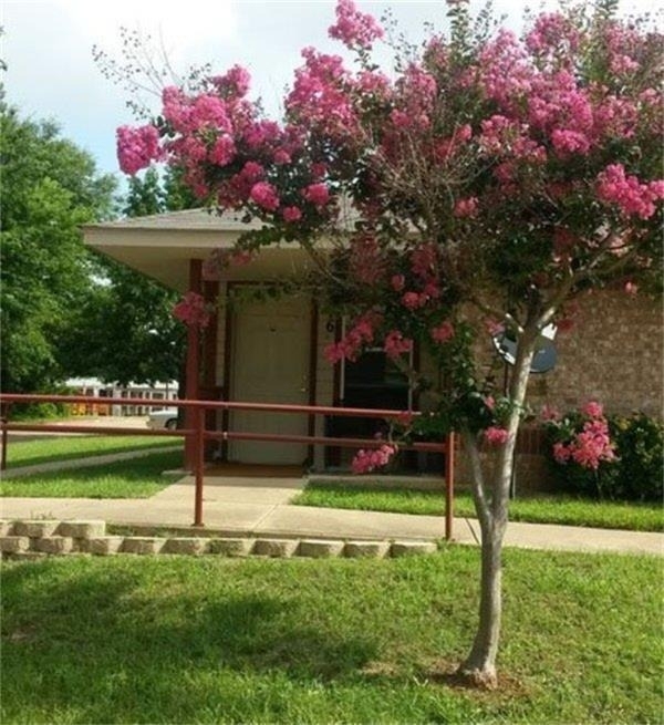 1500 E Marshall Avenue - Photo 0