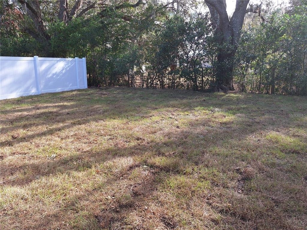 34916 Mulrion Drive - Photo 5