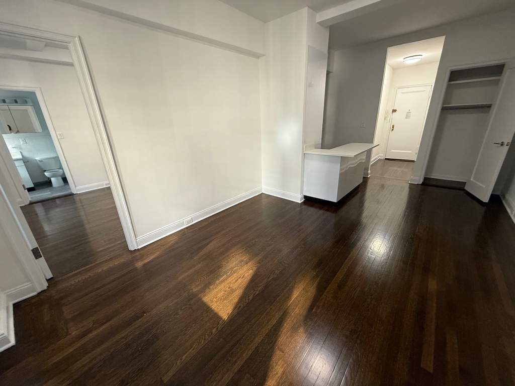 East 46th Street - Photo 2
