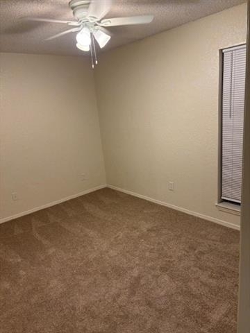 9813 Walnut Street - Photo 4