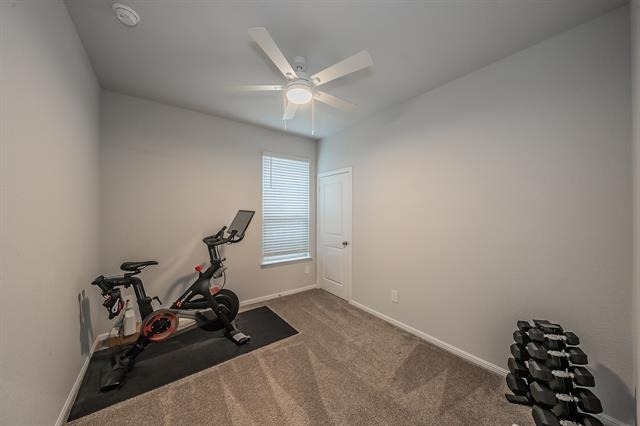 156 Birch Street - Photo 14