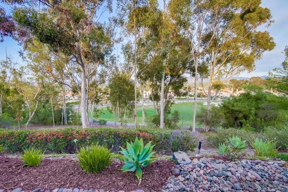 12242 Paseo Lucido - Photo 36