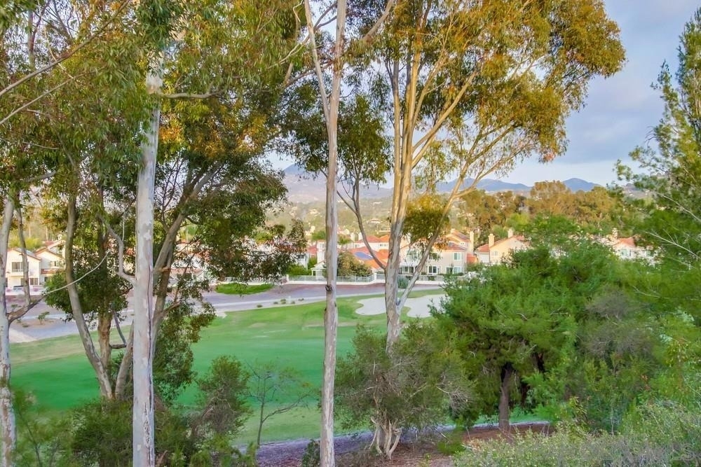 12242 Paseo Lucido - Photo 37