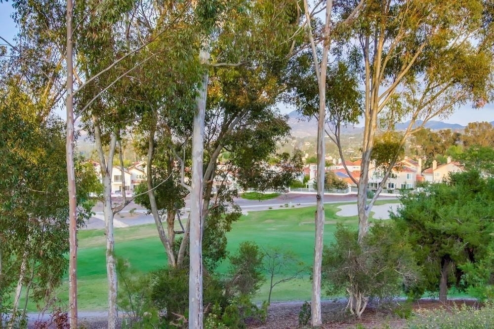 12242 Paseo Lucido - Photo 38
