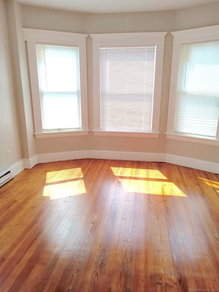 121 Lounsbury Street - Photo 3