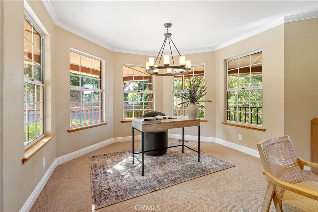 10885 San Marcos - Photo 5