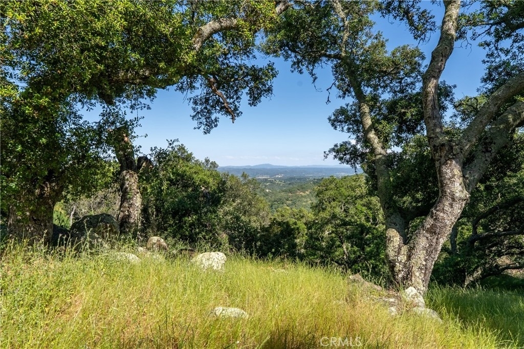 10885 San Marcos - Photo 33