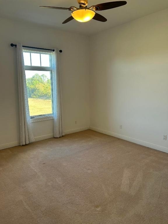 11627 Se Florida Avenue - Photo 6