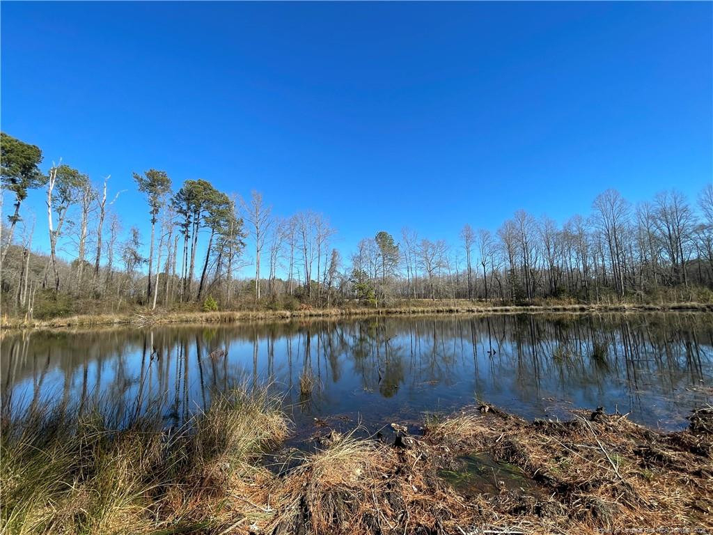 2232 Adcock Road - Photo 39