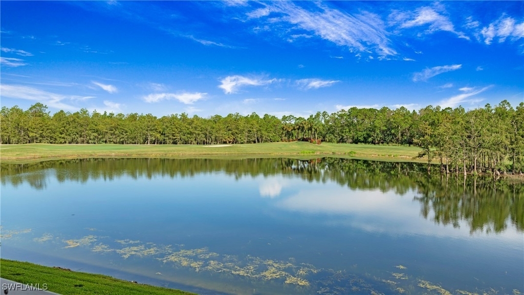 8600 Cedar Hammock Circle - Photo 35