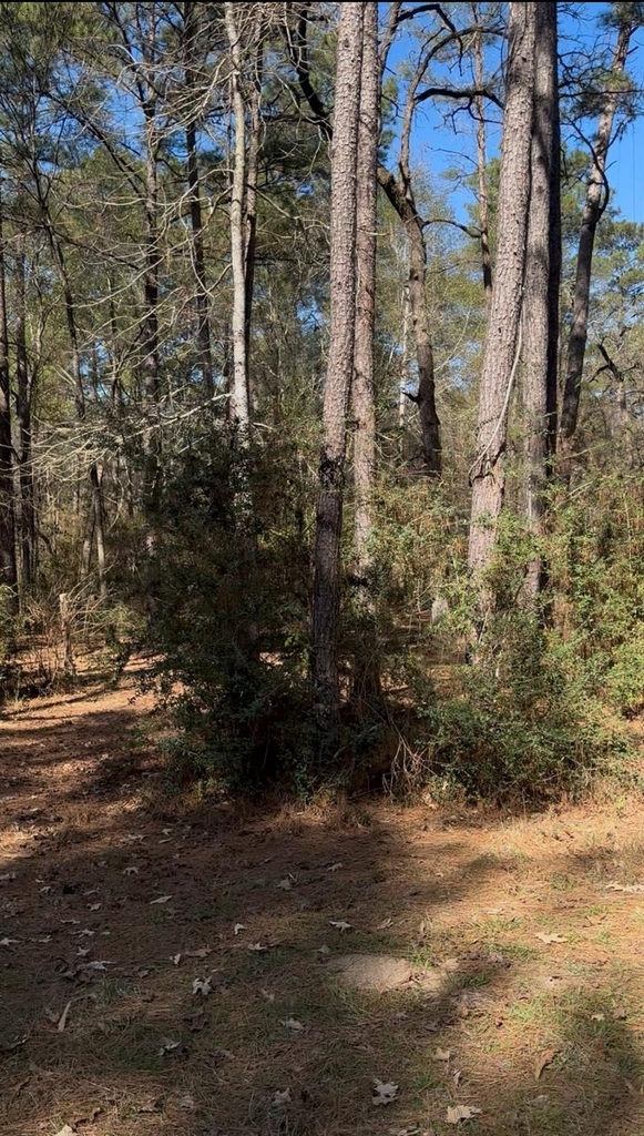 15901 Butera Road - Photo 2