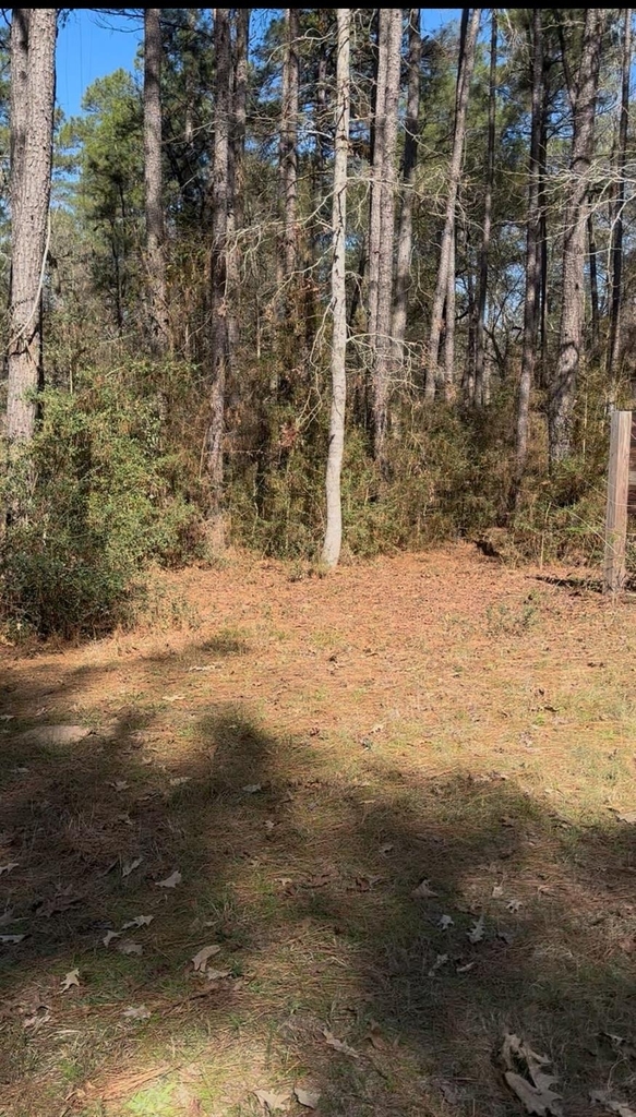 15901 Butera Road - Photo 4