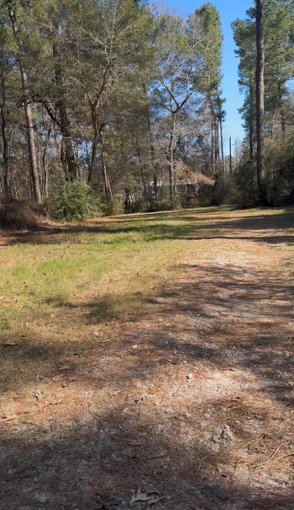15901 Butera Road - Photo 5