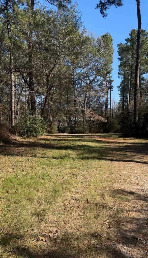 15901 Butera Road - Photo 3