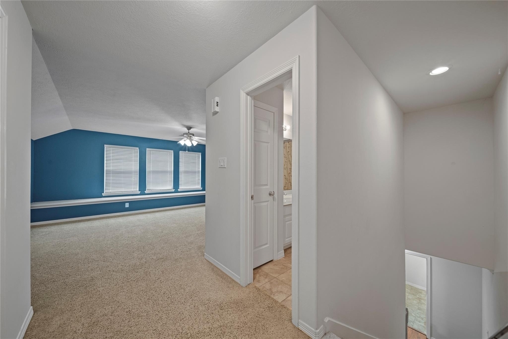 14443 Basalt Lane - Photo 30
