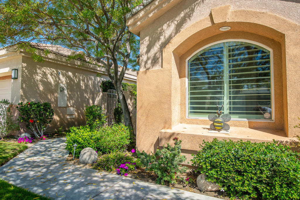 67550 S Laguna Drive - Photo 2