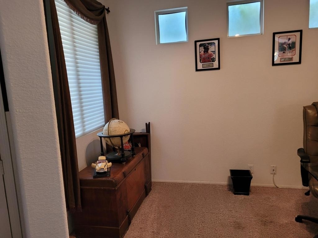 29704 W Trancas Drive - Photo 13
