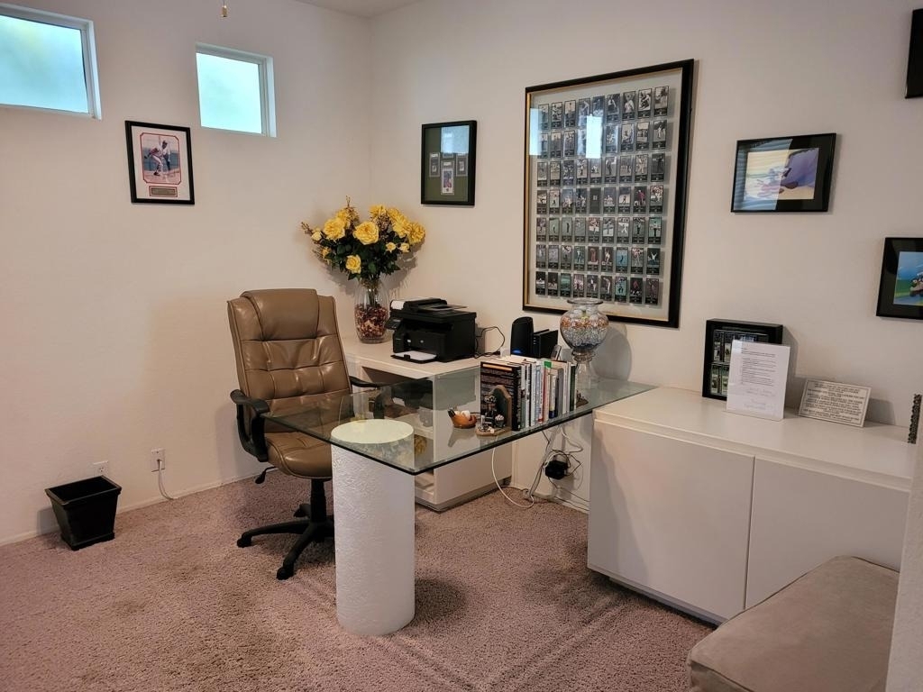 29704 W Trancas Drive - Photo 12