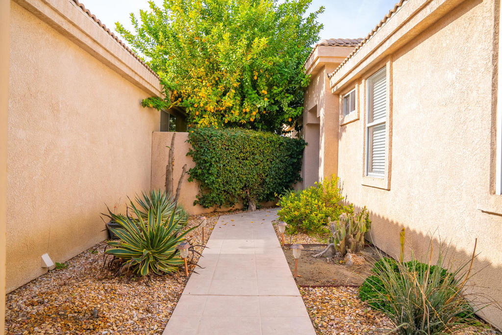 29631 W Trancas Drive - Photo 8