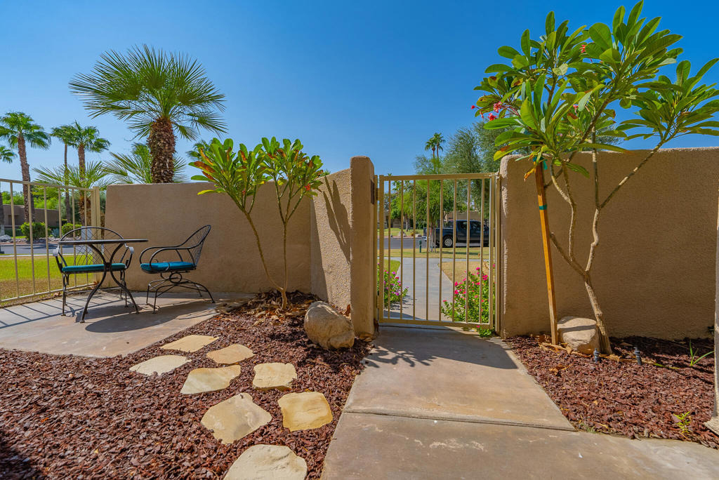 29118 Desert Princess Drive - Photo 24