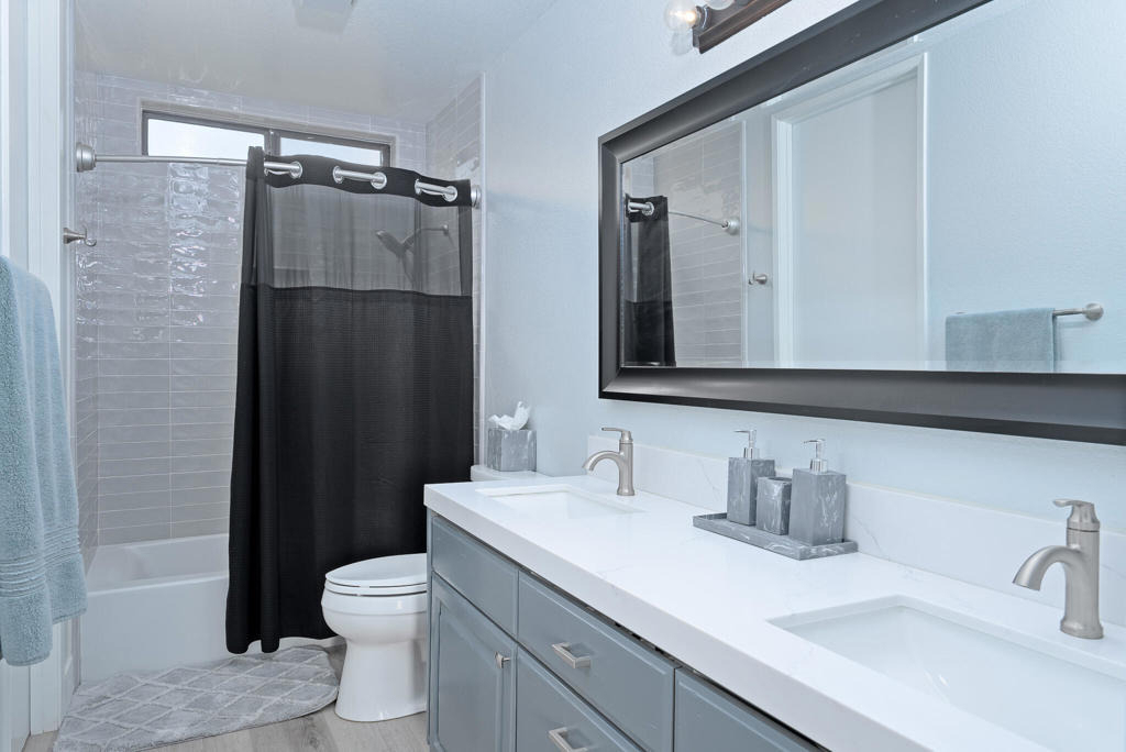 29118 Desert Princess Drive - Photo 13