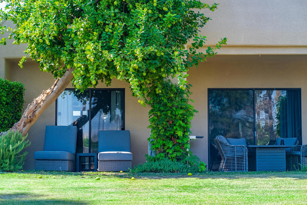 29118 Desert Princess Drive - Photo 21