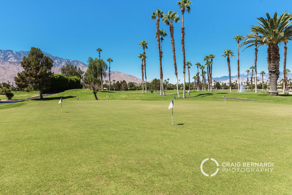 29118 Desert Princess Drive - Photo 37