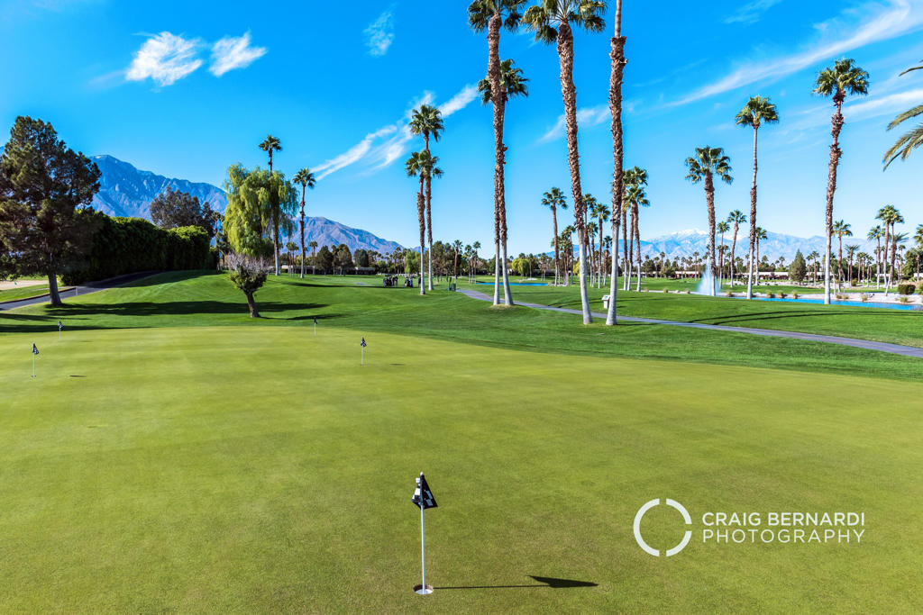 29118 Desert Princess Drive - Photo 43