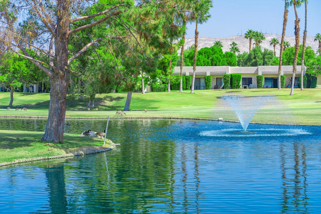 29118 Desert Princess Drive - Photo 20