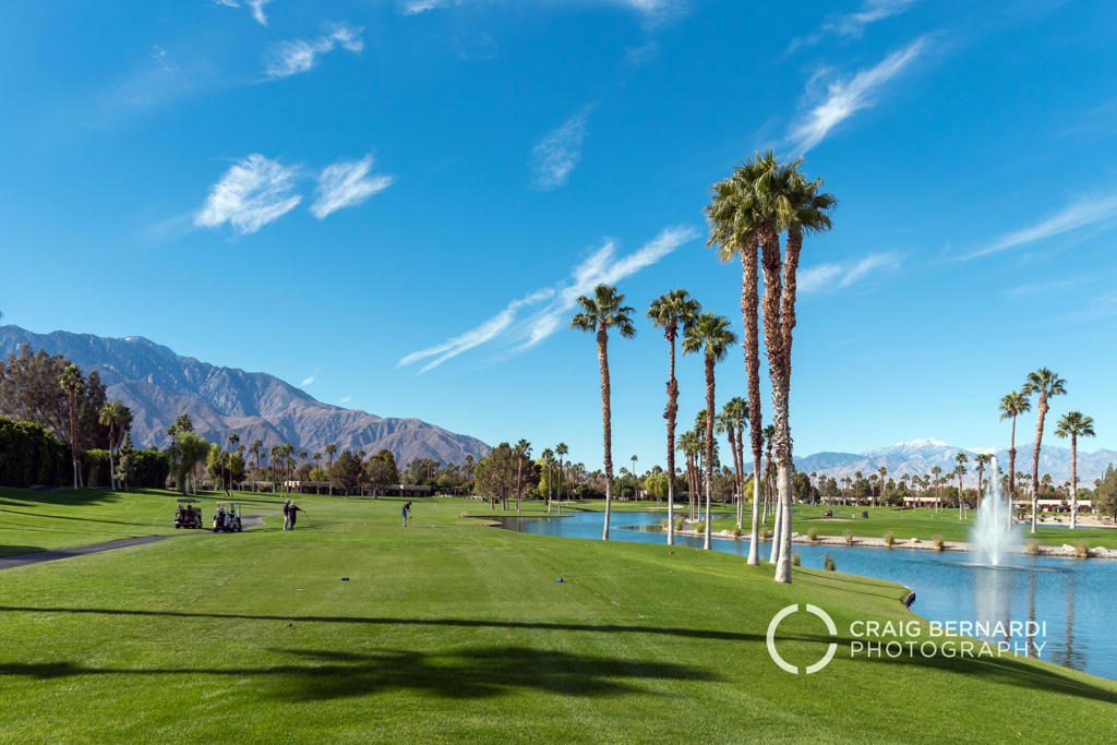 29118 Desert Princess Drive - Photo 44