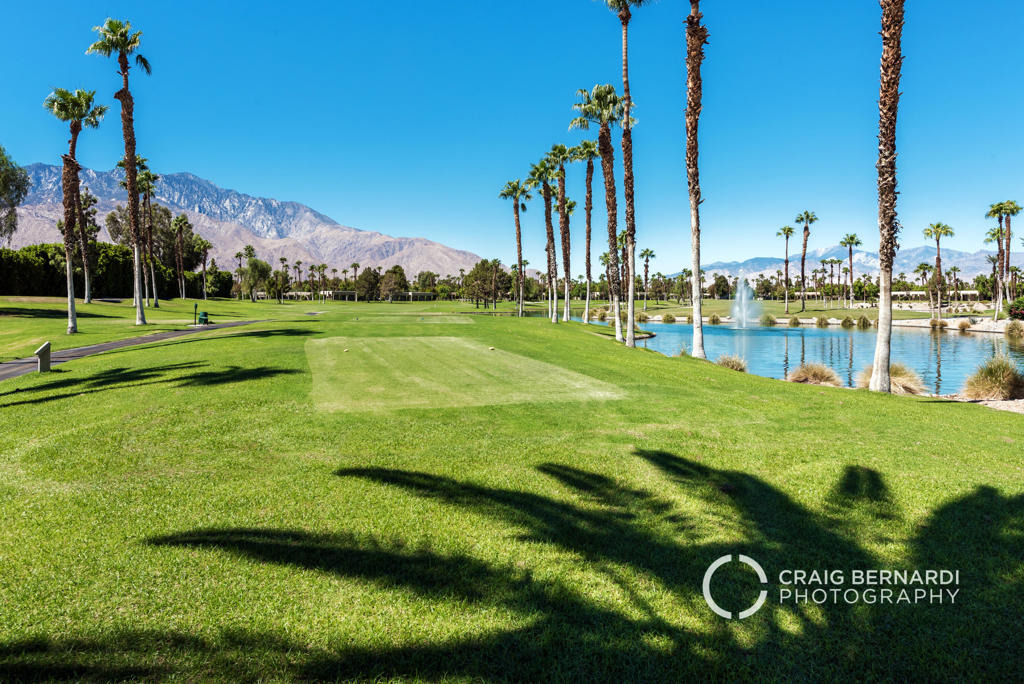 29118 Desert Princess Drive - Photo 36