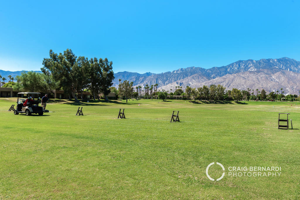 29118 Desert Princess Drive - Photo 38