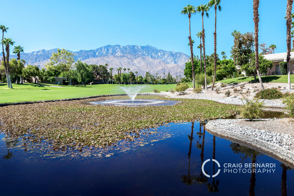 29118 Desert Princess Drive - Photo 40